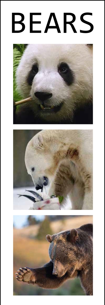 Panda Polar Bear Grizzly Bear
